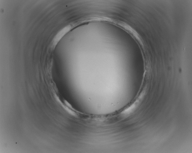 X0000078311385200612011849