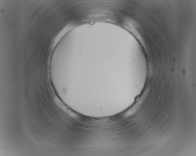 X0000078311386200612011848