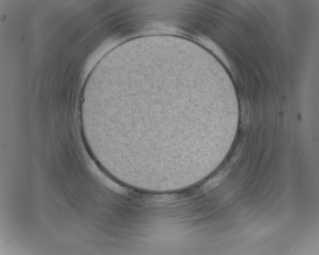 X0000078311387200612011848