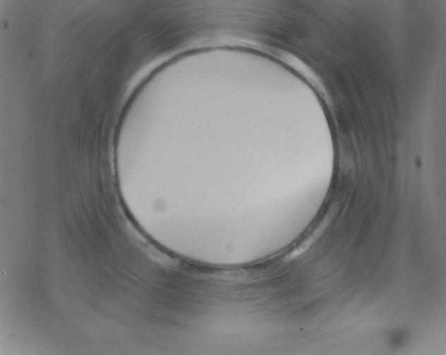 X0000078311388200612011848