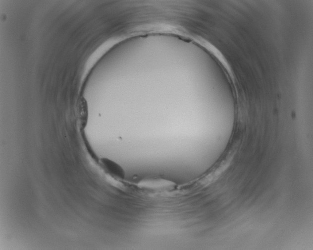 X0000078311389200612011848