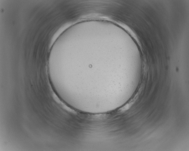 X0000078311390200612011848