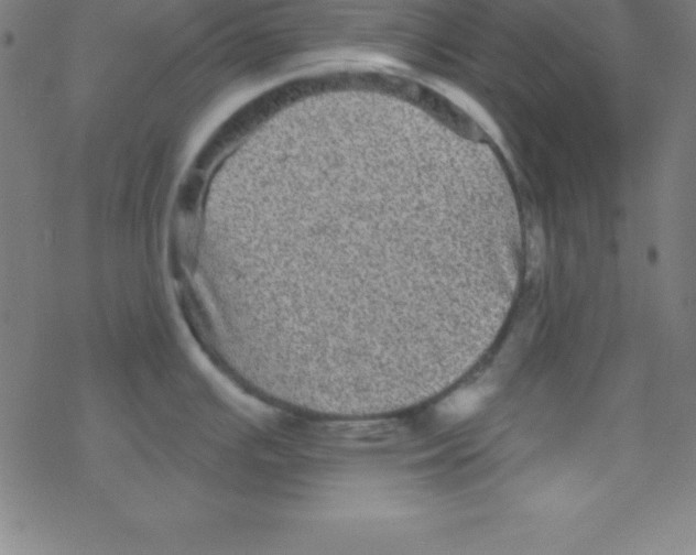 X0000078311391200612011848