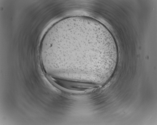 X0000078311392200612011848