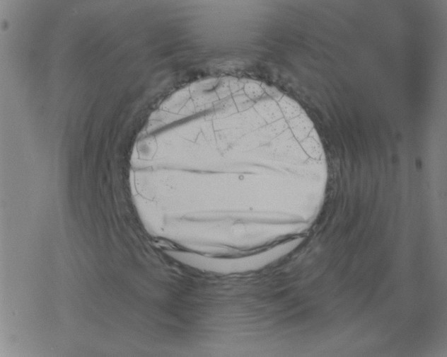 X0000078311393200612011848