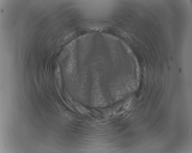 X0000078311394200612011848