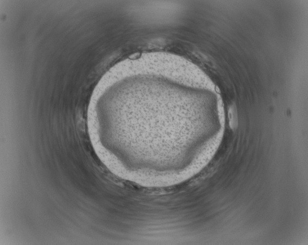 X0000078311395200612011848