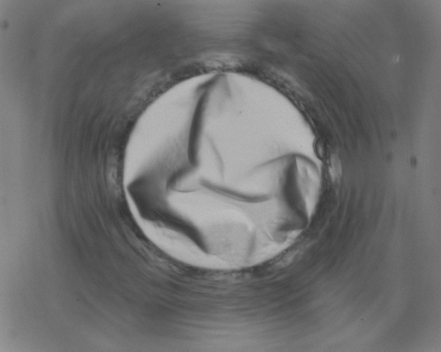 X0000078311396200612011848