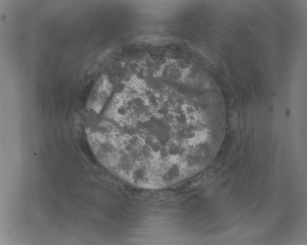 X0000078311397200612011848