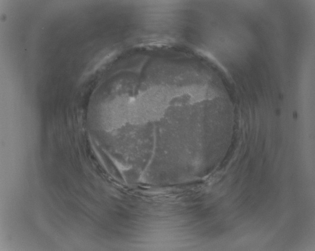 X0000078311399200612011848