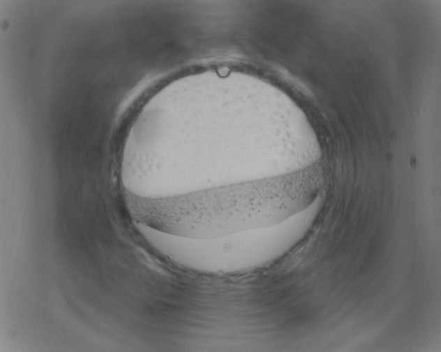 X0000078311400200612011848