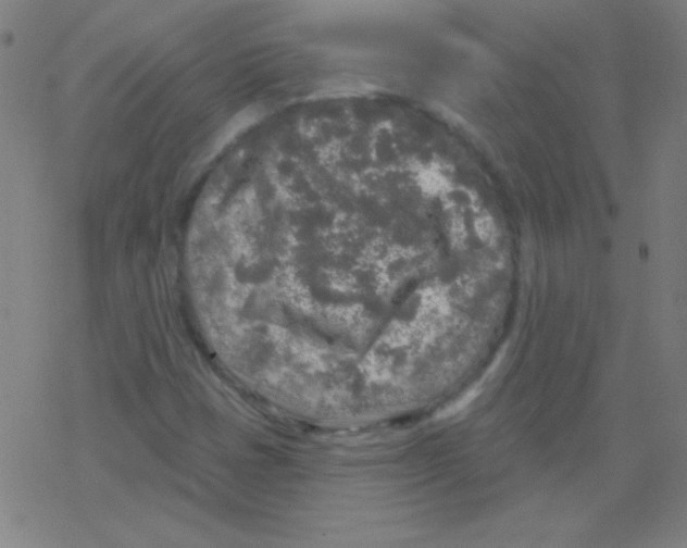 X0000078311401200612011848