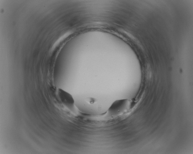 X0000078311402200612011848