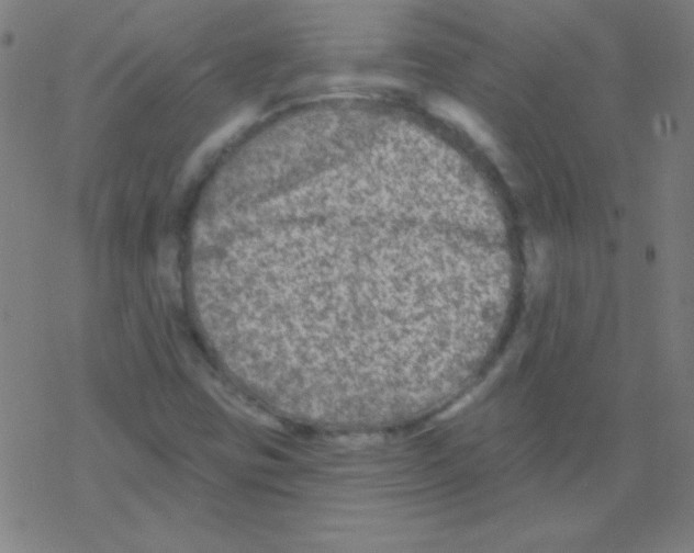 X0000078311403200612011848