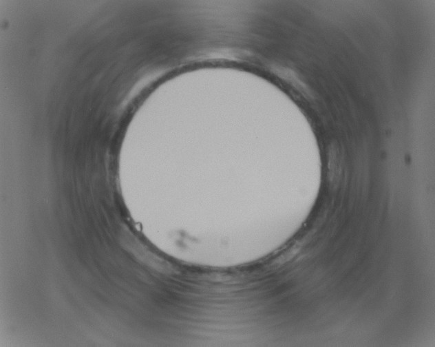 X0000078311404200612011848