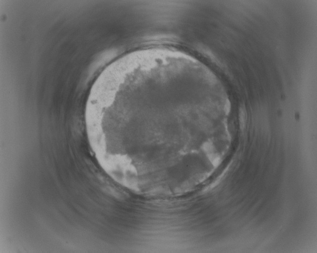 X0000078311405200612011848