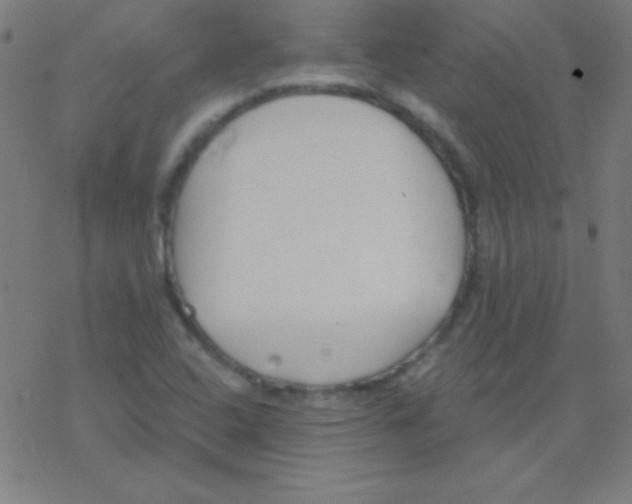 X0000078311408200612011848