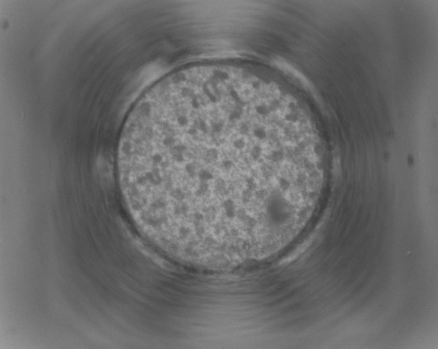 X0000078311409200612011848