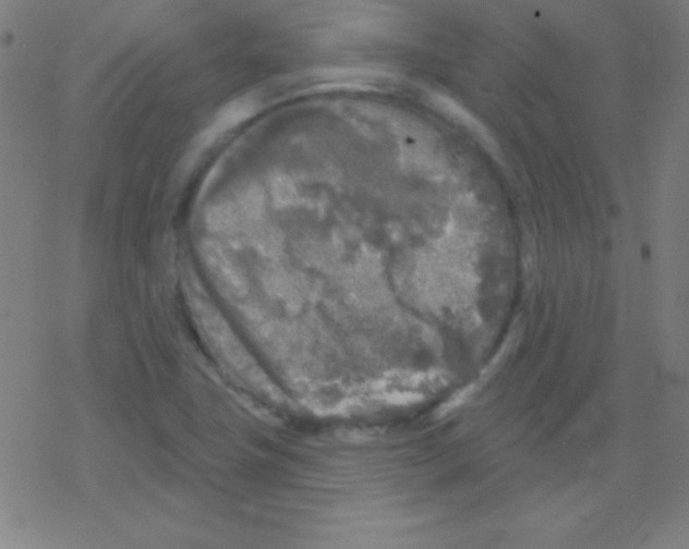 X0000078311411200612011848