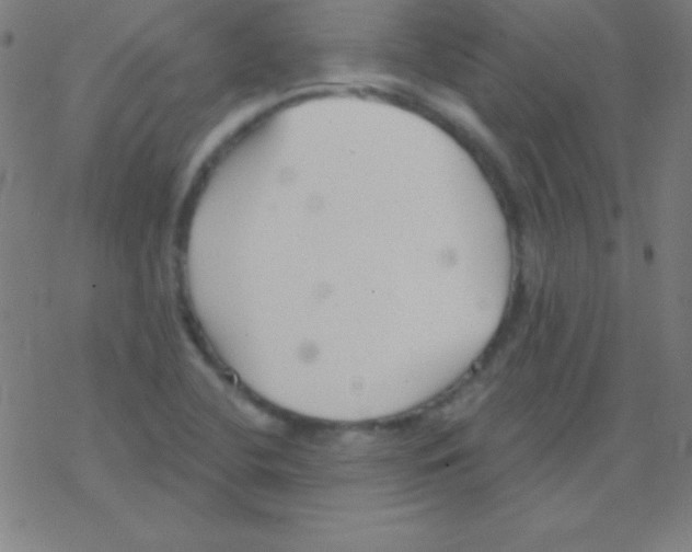 X0000078311412200612011848