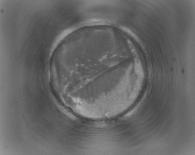 X0000078311413200612011848