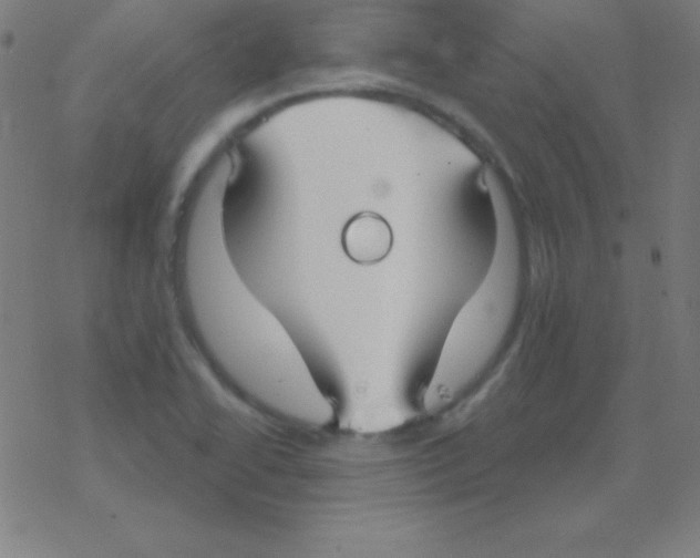 X0000078311414200612011848