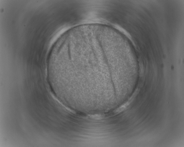 X0000078311415200612011848