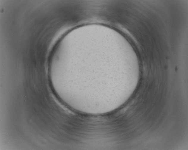 X0000078311416200612011848