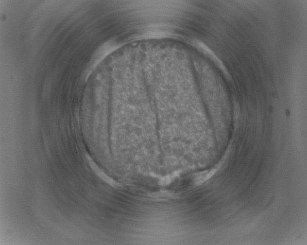 X0000078311417200612011848