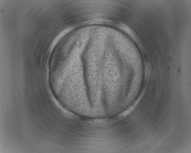 X0000078311418200612011848