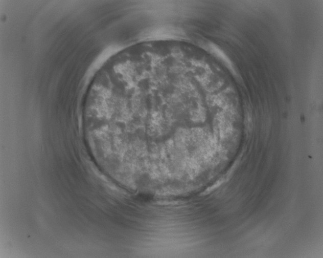 X0000078311419200612011848