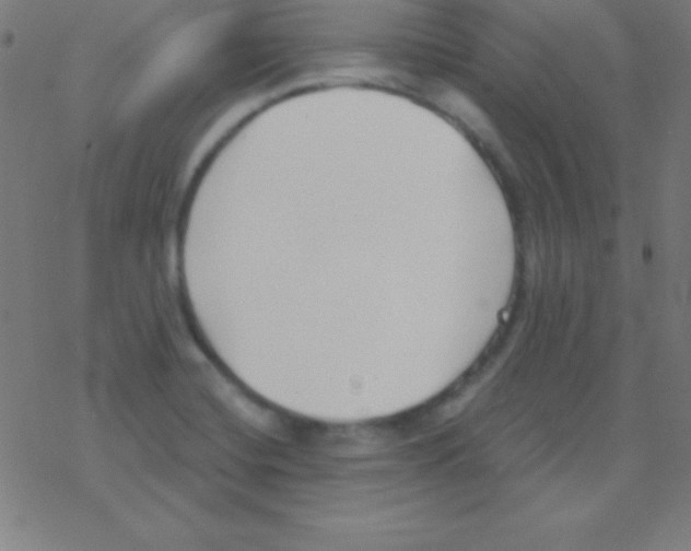 X0000078311420200612011848