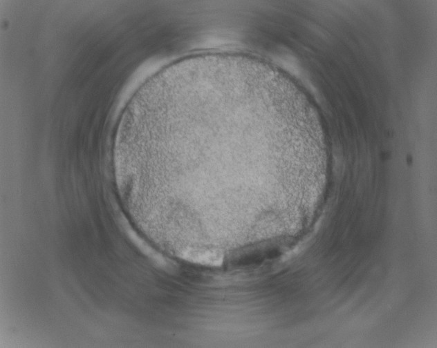 X0000078311421200612011848