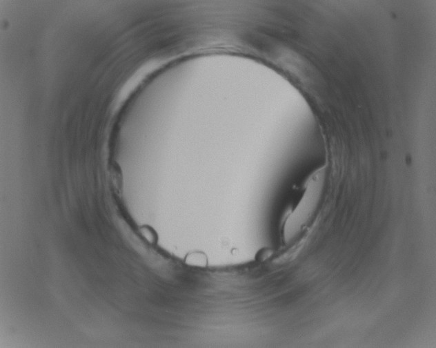 X0000078311422200612011848