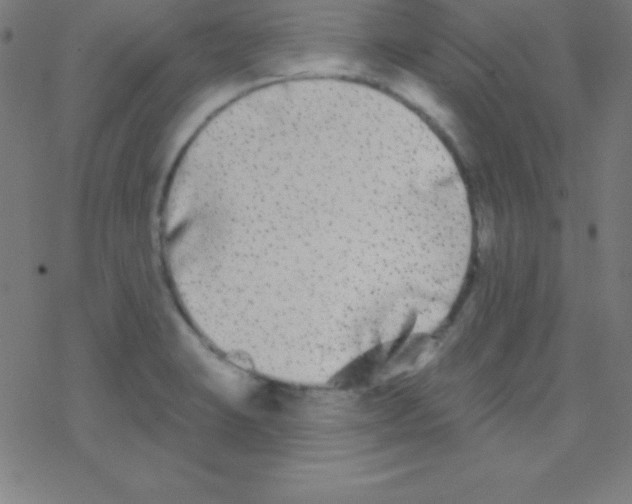 X0000078311423200612011848