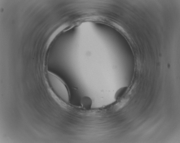 X0000078311426200612011848