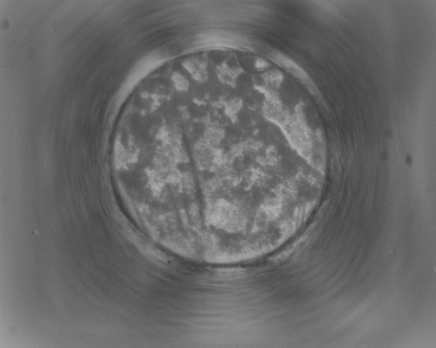 X0000078311427200612011848