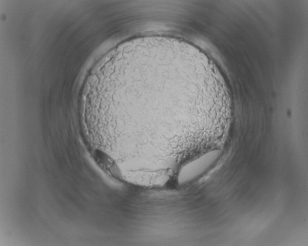 X0000078311429200612011848