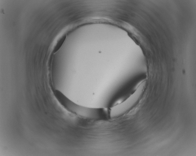 X0000078311430200612011848