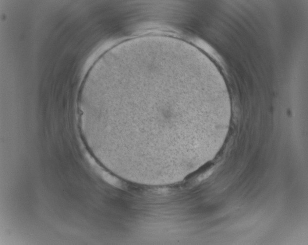 X0000078311431200612011848