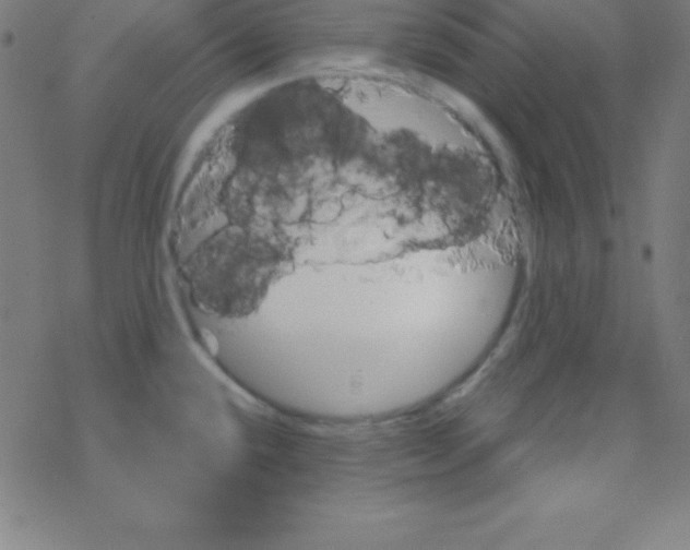 X0000078311432200612011848