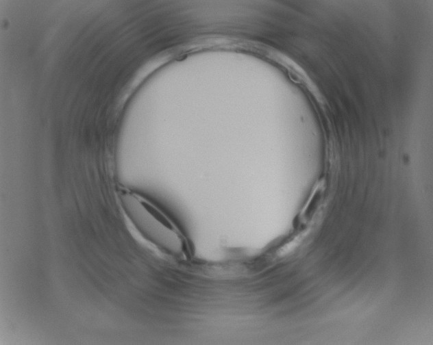 X0000078311433200612011848