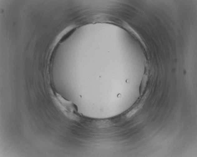 X0000078311434200612011848