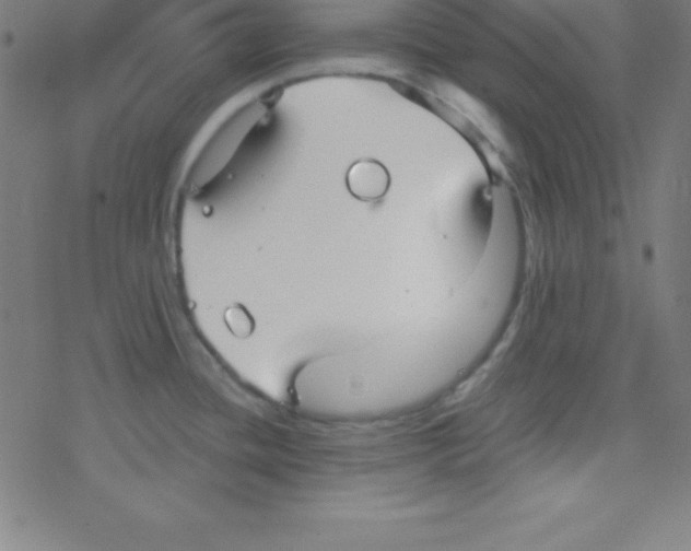 X0000078311436200612011848