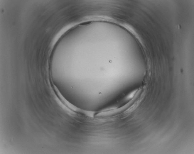 X0000078311438200612011848