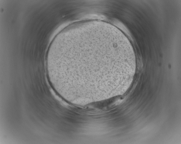 X0000078311439200612011848