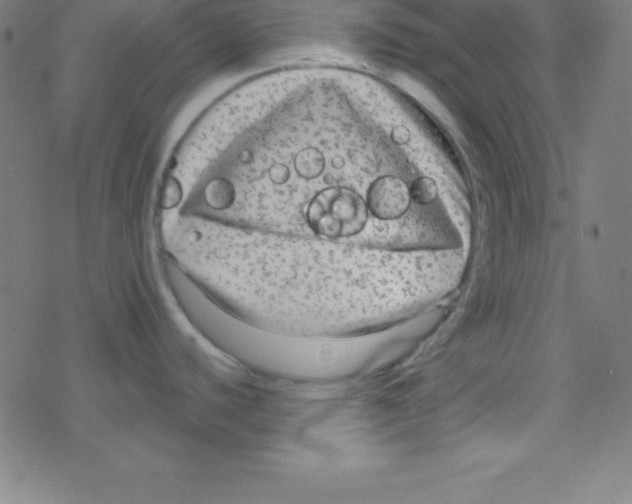 X0000078311440200612011848