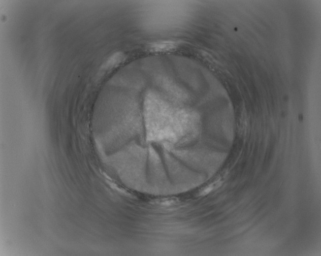 X0000078311441200612011848