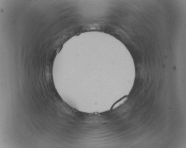 X0000078311442200612011848