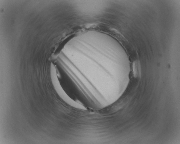 X0000078311443200612011848